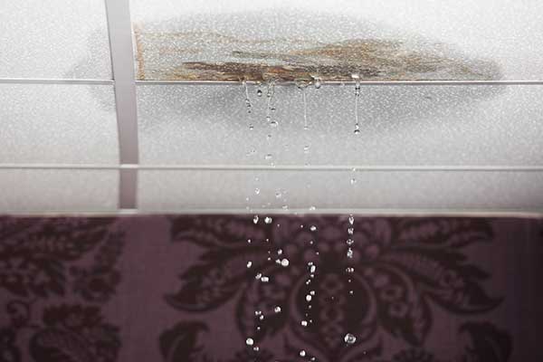 Water Damage Remediation Services Water Damage Remediation Services