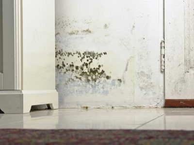 Home Mold Build Up Removal
