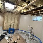 Water Damage Mold Cleanups