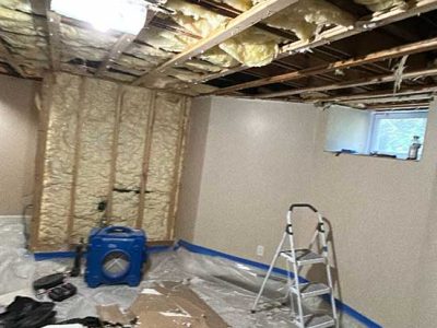 Water Damage Mold Cleanups