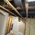 Water Damage Mold Removal