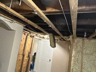 Water Damage Mold Removal