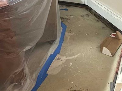 Water Damage Solutions