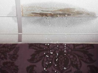 Water Damage Remediation Services