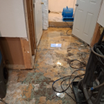 American Restoration Professionals, MA