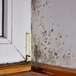 American Restoration Professionals, MA