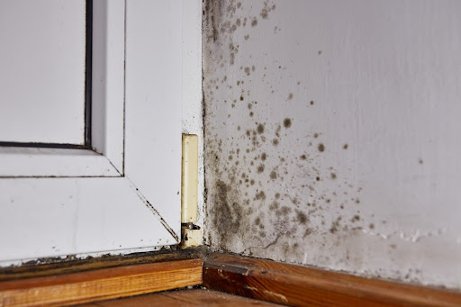 American Restoration Professionals, MA