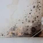 American Restoration Professionals, MA