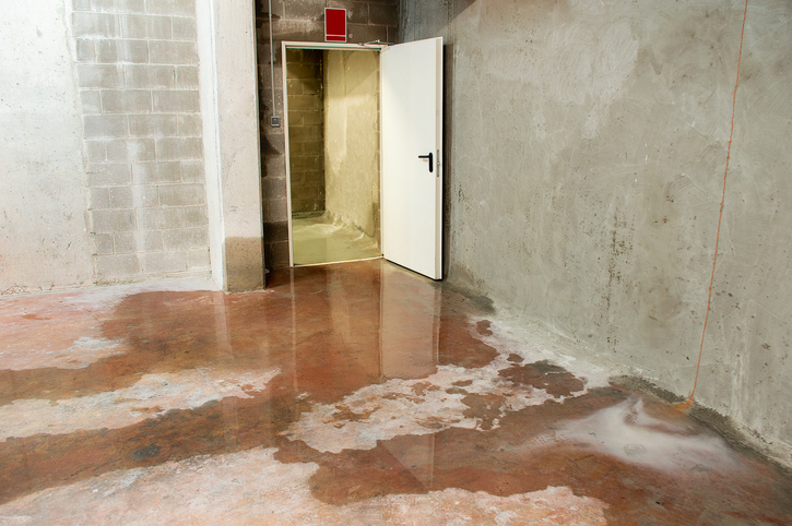 American Restoration Professionals, MA