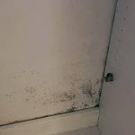 American Restoration Professionals, MA